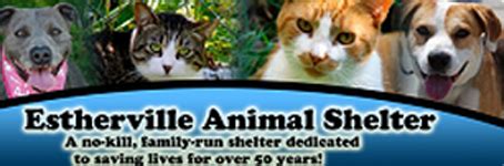 Estherville animal shelter ny. Things To Know About Estherville animal shelter ny. 